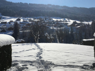 Rez-de-jardin  Les Balcons d'Arly